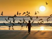 Nicaragua’s “Natural Paradisiacal Locations Beach Sunset Birds and ChildSeagullsa