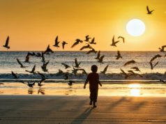 Nicaragua’s Natural Paradisiacal Locations – INFOBAE Nicaragua’s “Natural Paradisiacal Locations Beach Sunset Birds and ChildSeagullsa
