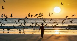 Nicaragua’s “Natural Paradisiacal Locations Beach Sunset Birds and ChildSeagullsa