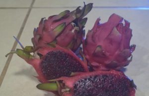 Pitaya Fruit Cut Open Kitchen Counter