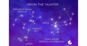 Dog Days of Summer Sirius and Orion Stars