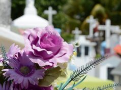 Día de los Muertos Flowers on a Grave in Sunshine