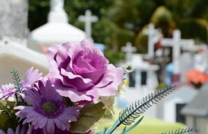 Día de los Muertos Flowers on a Grave in Sunshine